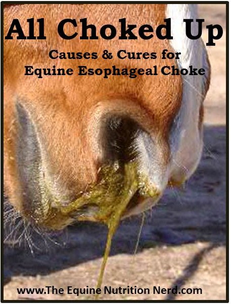 All Choked Up_EquineNutritionNerd