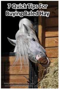 Happy Horse Healthy Planet.Hay Tips