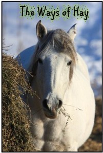 Happy Horse Healthy Planet.Ways of Hay