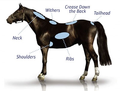 639257dc66d64e6d26870e66673aa287