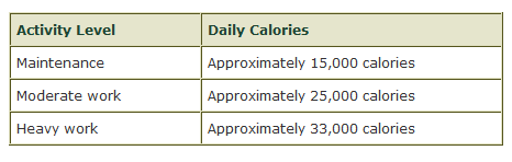 Activity Level_Calories per Day