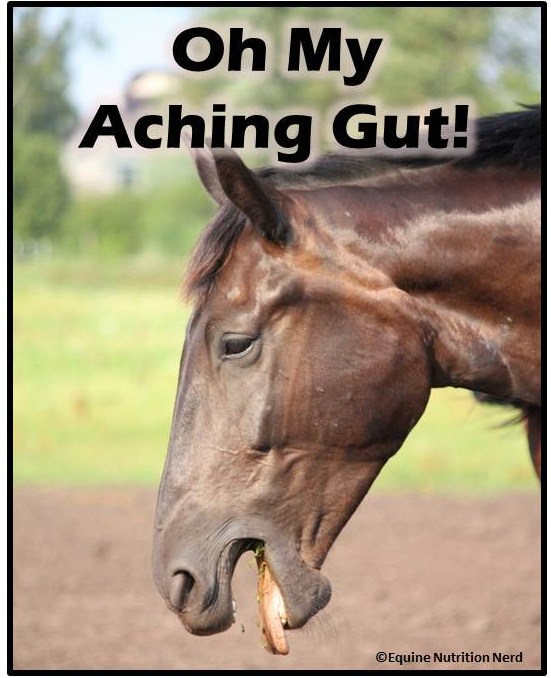 Equine Nutrition Nerd_Ulcer Cover