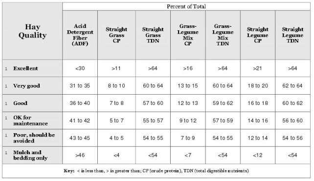 Happy Horse Healthy Planet_Hay quality