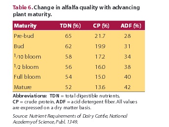 Happy Horse Healthy planet_Maturity of Alfalfa
