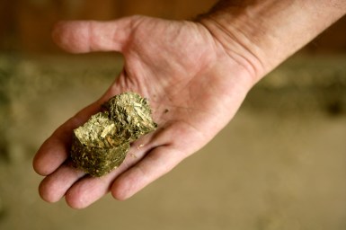 ?z????????P????????t?????????????????????????????????????????????????????????????????????????????????????????????????????