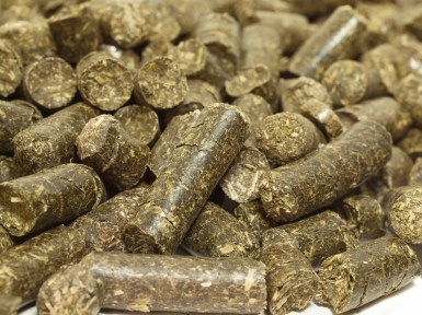 herbs granules macro. food for horse and farm animal