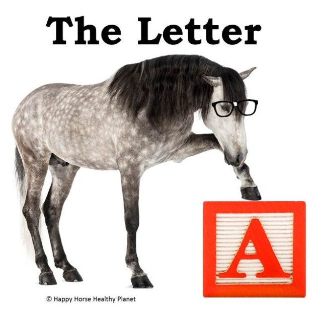 HappyHorseHealthyPlanet_ABC-A_2