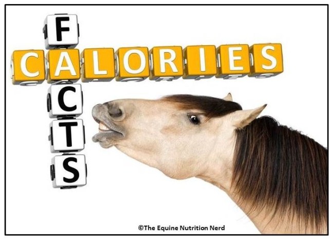Happy Horse Healthy Planet.com._Caolories Cover