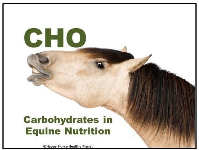 HappyHorseHealthyPlanet.Carbohydrates_Cover
