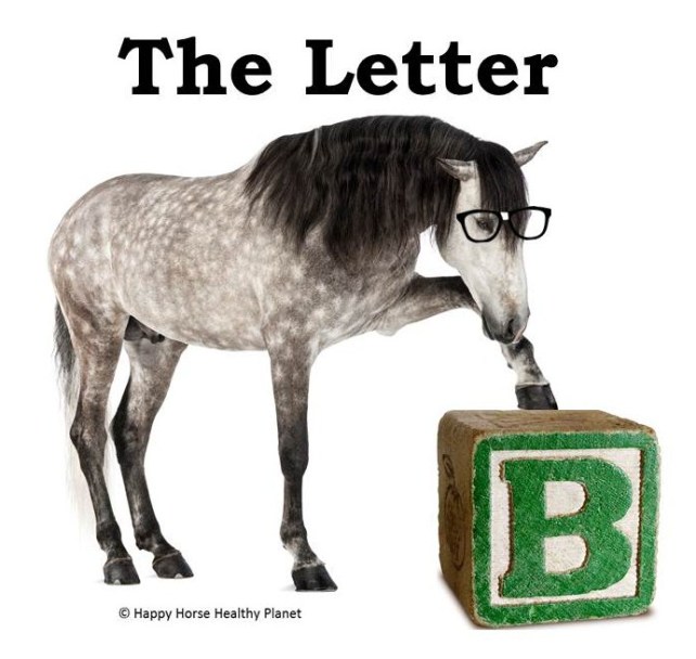 HappyHorseHealthyPlanet_ABC-B2