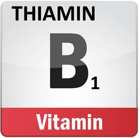 HappyHOrseHealthyPlanet_B1 THIAMIN