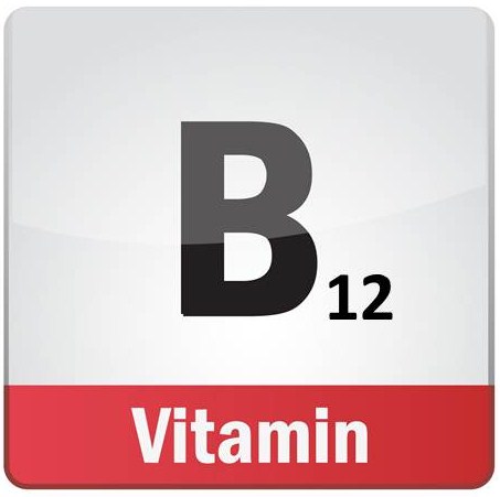 HappyHOrseHealthyPlanet_B12