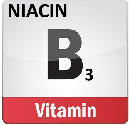 HappyHOrseHealthyPlanet_B3_Niacin