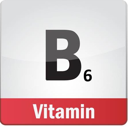 HappyHOrseHealthyPlanet_B6