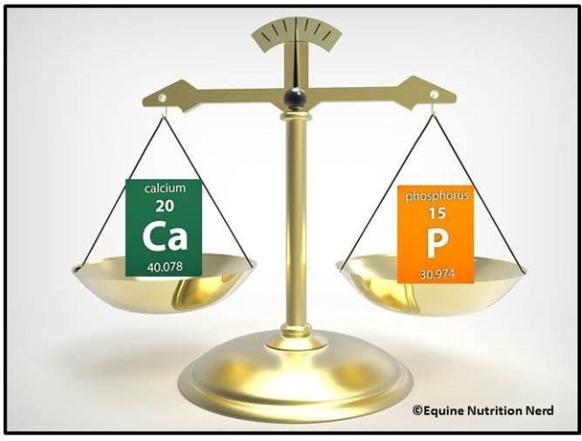 HappyHorseHealthyPlanet_Ca_P Ratio
