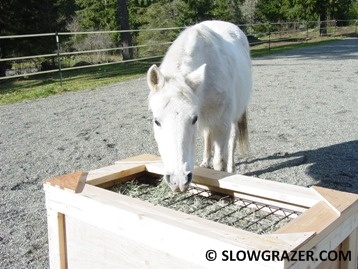 HappyHorseHealthyPlanet_slow grazer