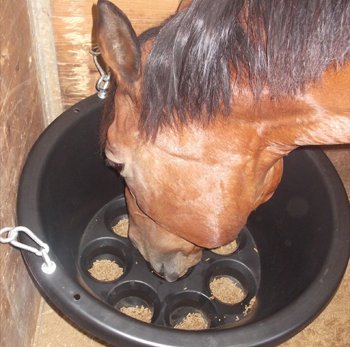 HappyHorseHealthyPlanet_PreVent Feeder
