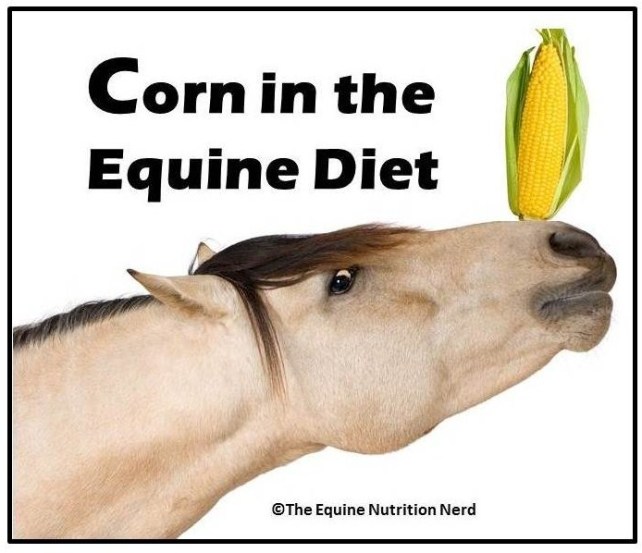 Happy Horse Healthy Planet_Corn