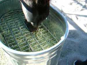 HappyHorseHealthyPlanet_HomeMade_SlowFeeder