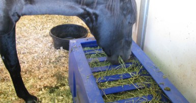HappyHorseHealthyPlanet_The Natural Feeder
