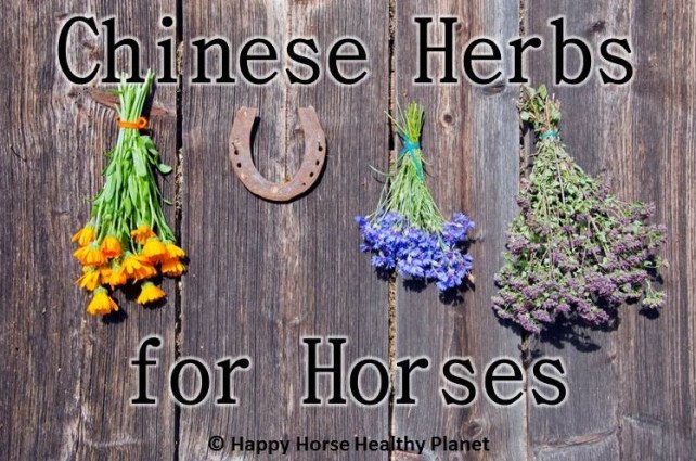 Happy Horse Heathy Planet_Herbs for Horses