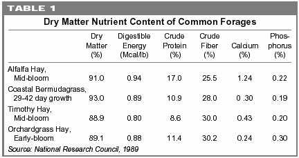 Dry Matter Content of Common Forages