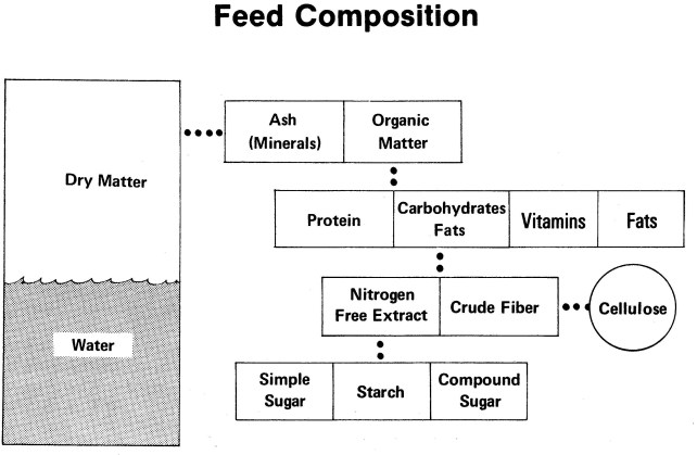 EcoEquine_Dry Matter