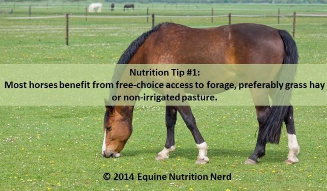 ENN_Nerd Nutrition Tip 1