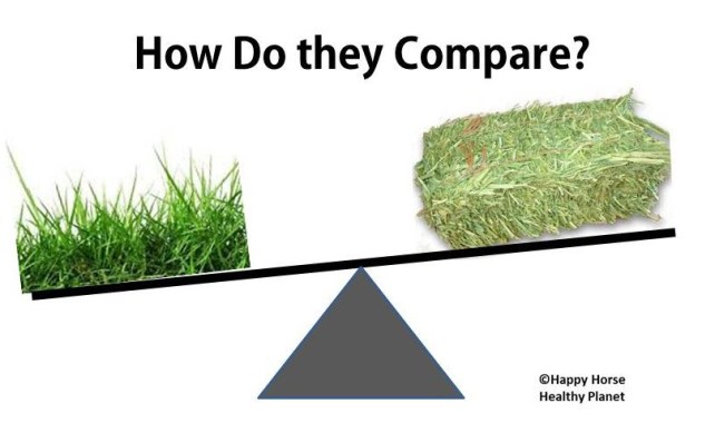 HappyHorseHealthyPlanet_Compare