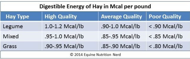 Equine Nutrition Nerd_DE of Hay