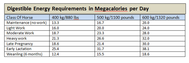 EquineNutritionNerd_Digestible Energy Requiirements