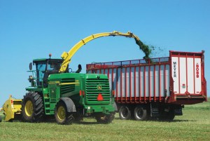 Chopping-alfalfa-0459-2Fh