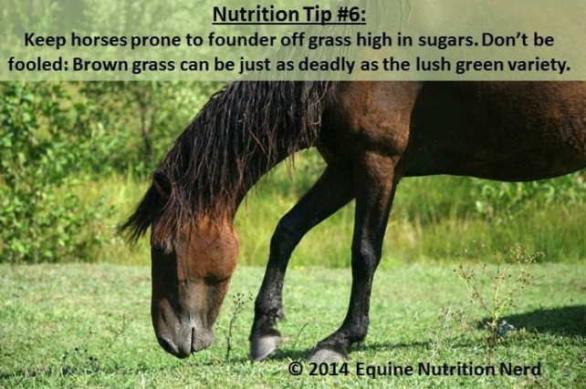 ENN_Nerd Nutrition Tip 6