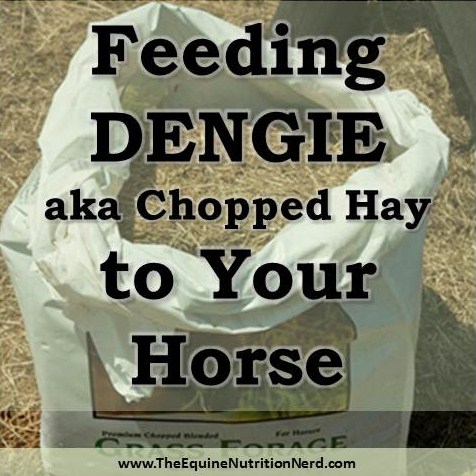 EquineNutritionNerd_Dengie