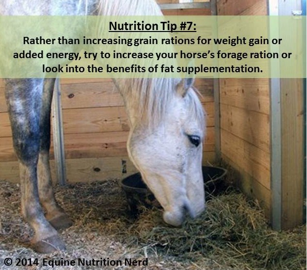 ENN_Nerd Nutrition Tip 7
