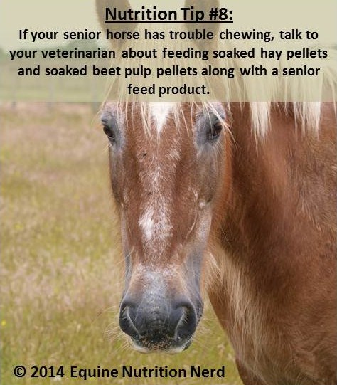 ENN_Nerd Nutrition Tip 8