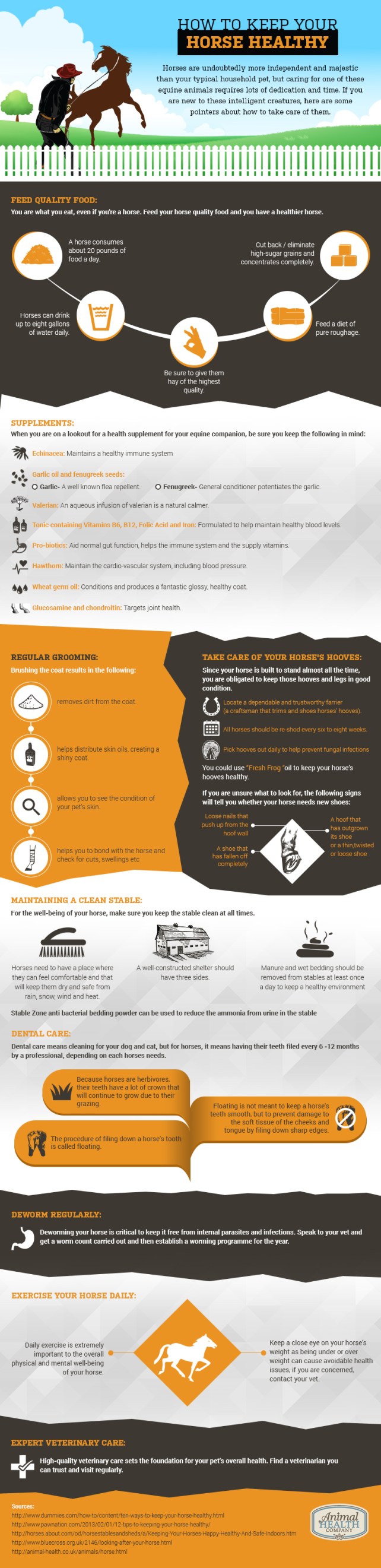 Keep_you_Horse_Healy_Draft01_2_