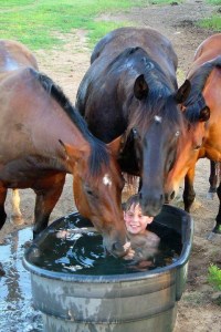HappyHorseHealthyPlanet.com.Watertank