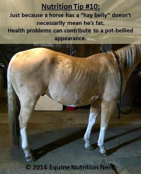 ENN_Nerd Nutrition Tip 10