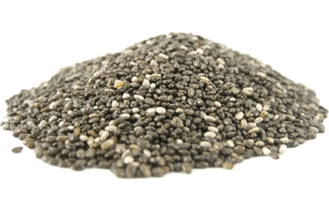 chia seeds for horses