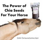 chia seeds for your horse