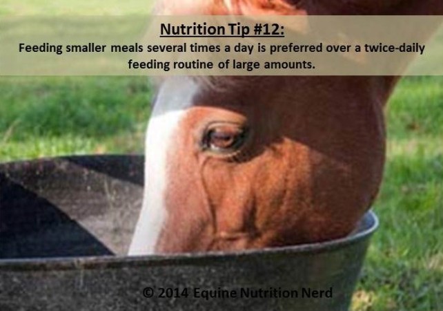 ENN_Nerd Nutrition Tip 12