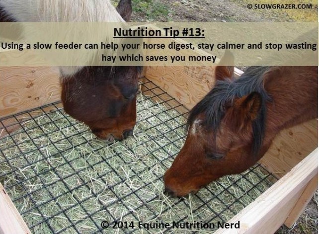 ENN_Nerd Nutrition Tip 13