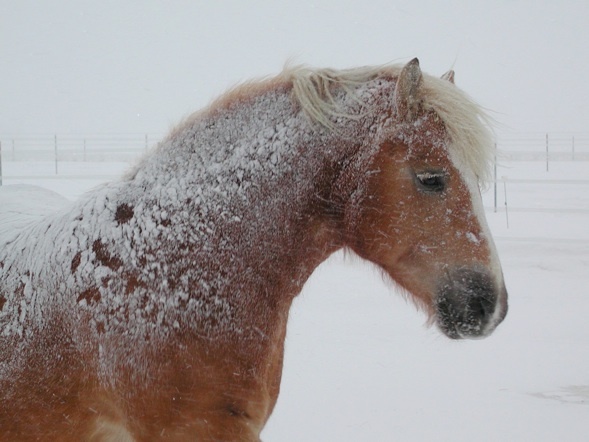 33ec20eef92fe335d0a6615a93f74a56