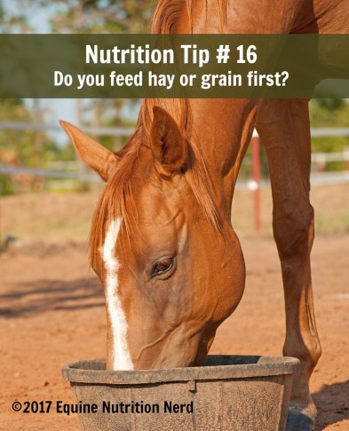 Chestnut horse with a blaze eating his dinner in a black rubber feeder