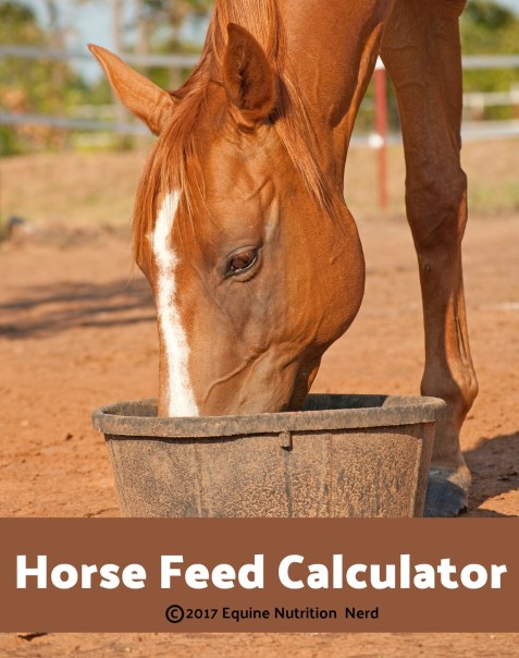 Chestnut horse with a blaze eating his dinner in a black rubber feeder